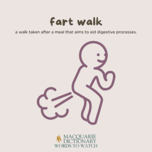 fart walk - a walk taken after a meal that aims to aid digestive processes. 
